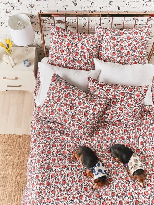 Carol & Frank 26" X 26" Colley Cotton Euro Pillow Sham In Multi