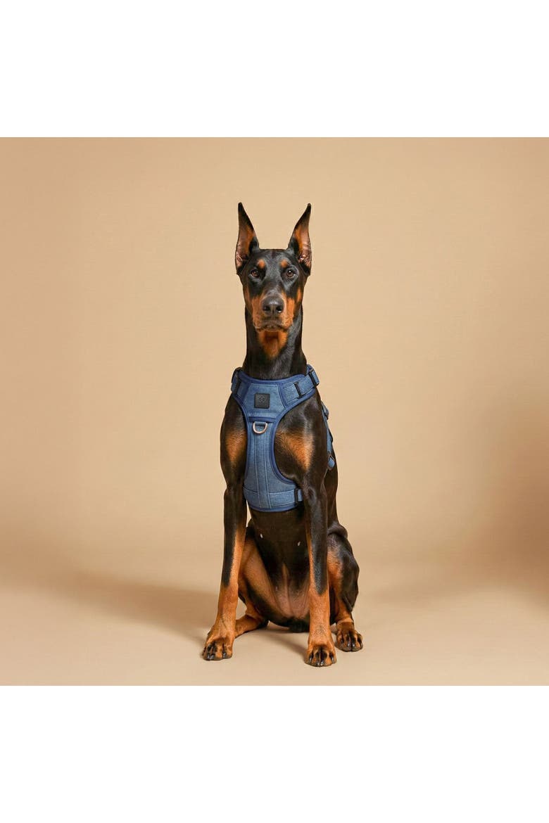 The NoMad Adjustable Luxe Harness, Alternate, color, Denim