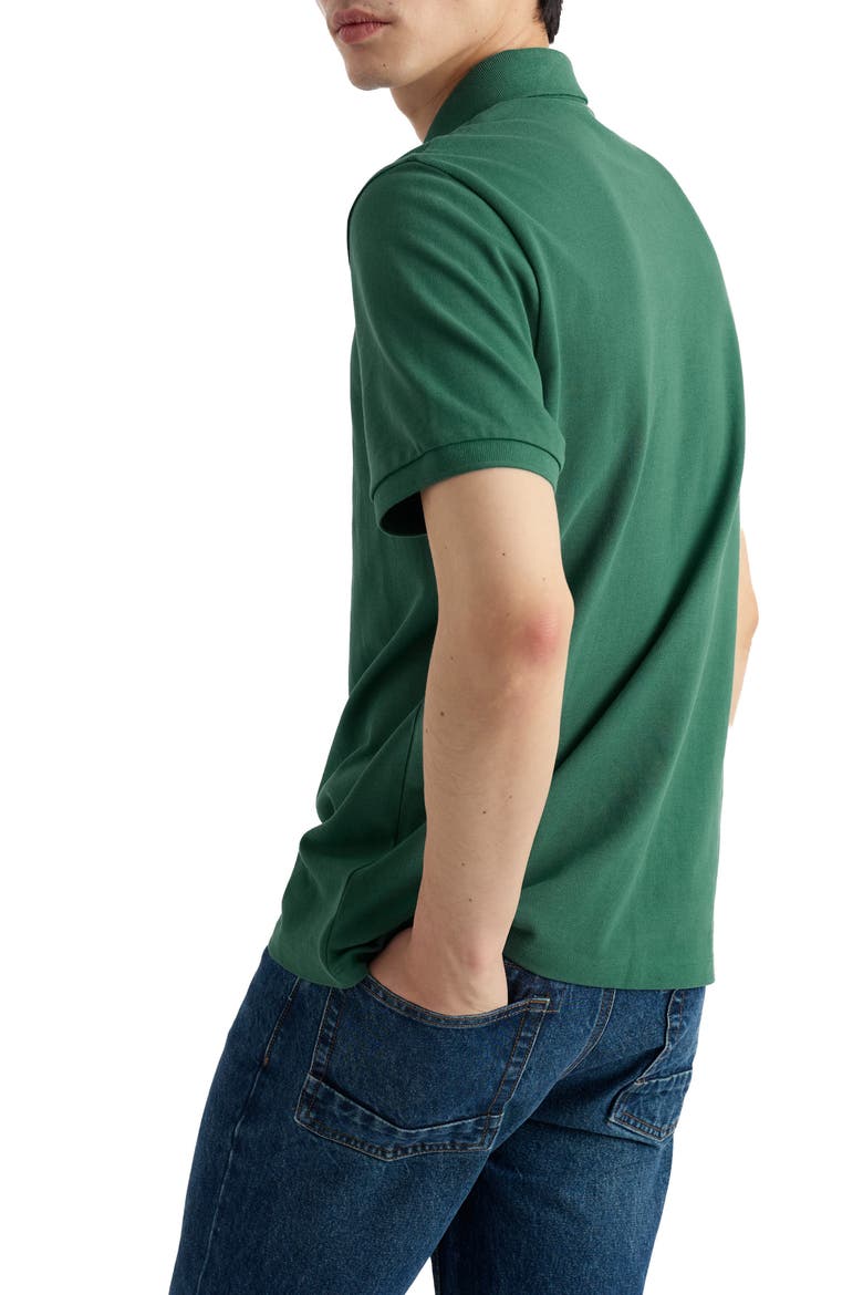 Balefire Polo, Alternate, color, RUSCUS LEAF