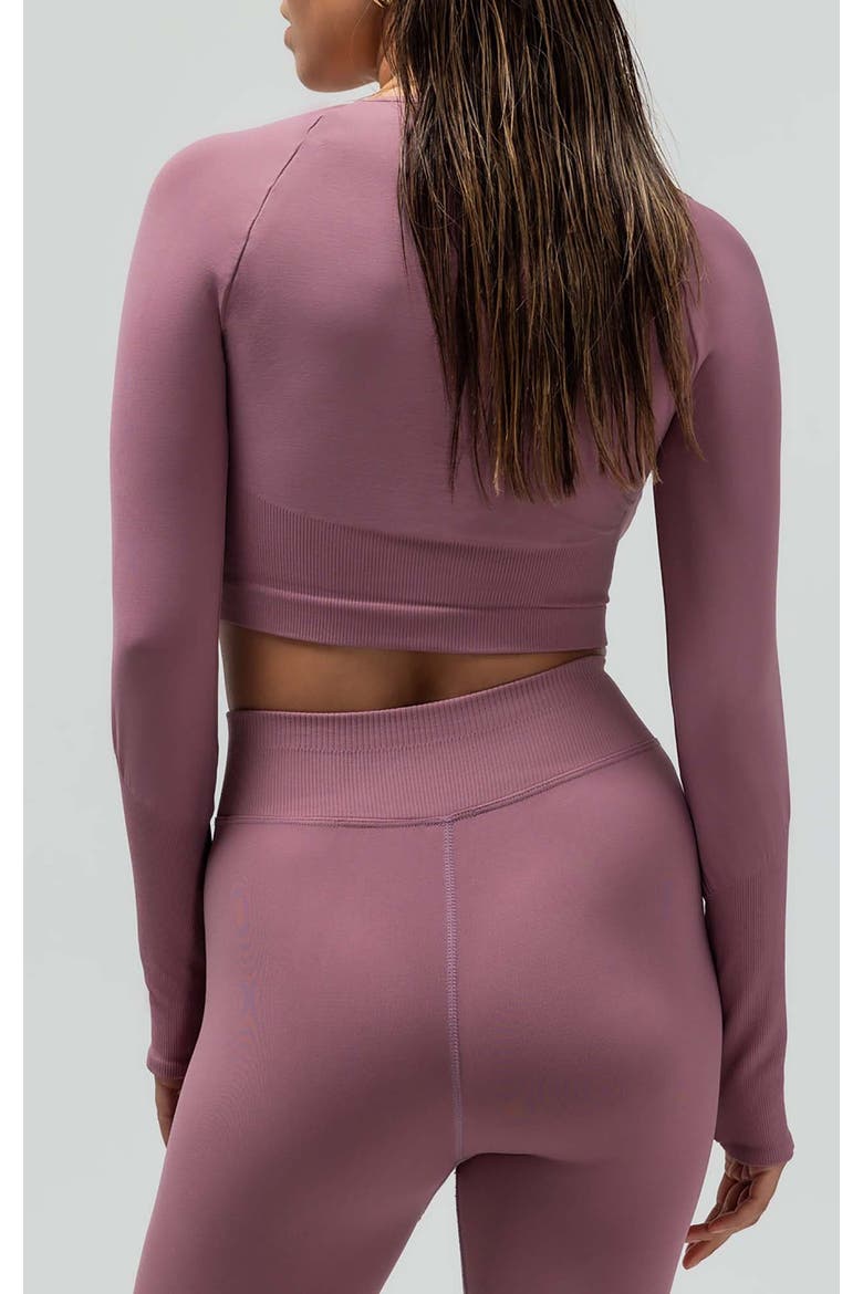 The V-Neck Long Sleeve Crop Top, Alternate, color, MAUVE