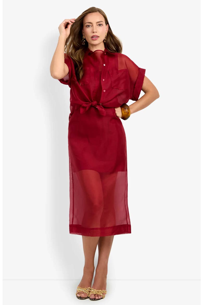 Costanzo Top, Main, color, Barolo