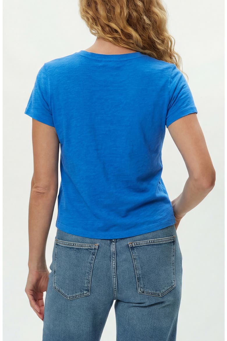 Harlan Cotton V-Neck T-Shirt, Alternate, color, BLUE RIBBON