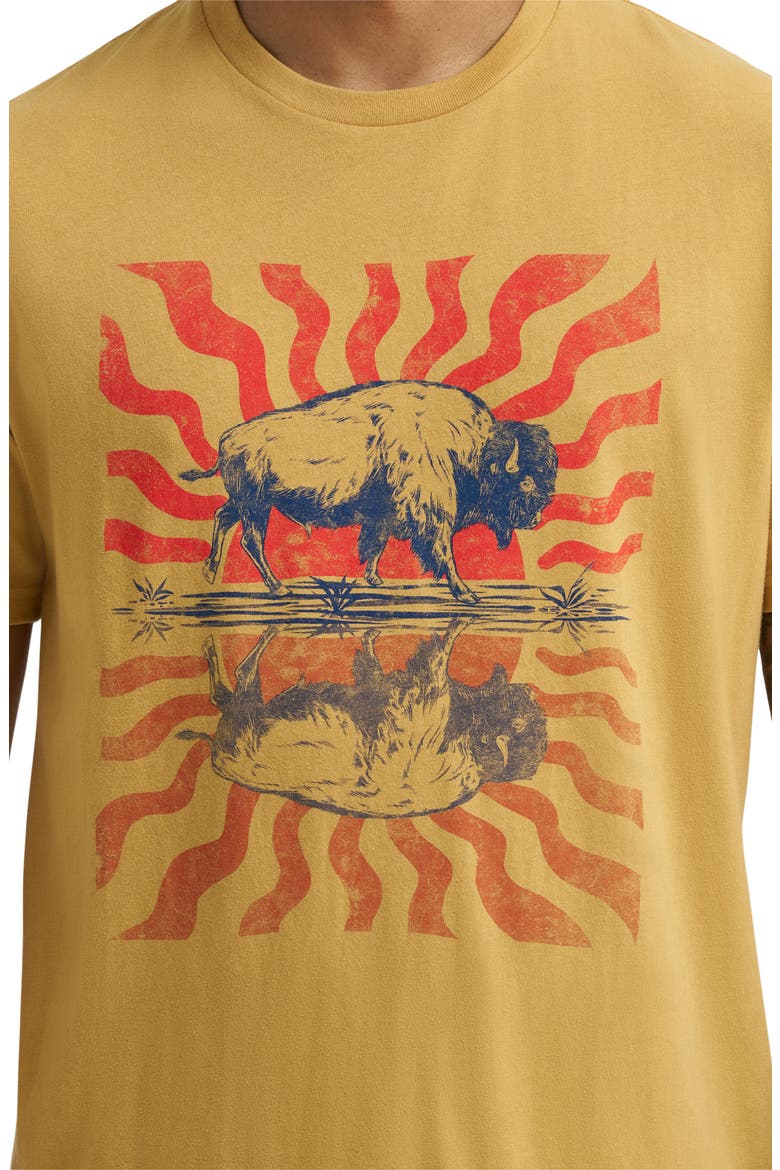 Cotton Graphic T-Shirt, Alternate, color, PALE GOLD