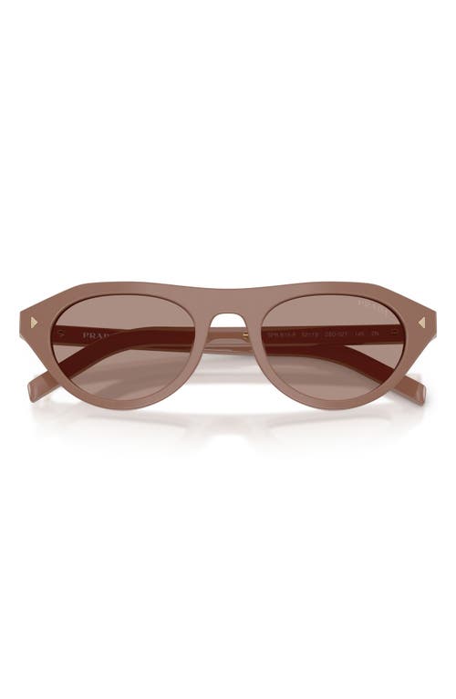 Prada Womens Brown Pr B15s Oval-frame Acetate Sunglasses In Brown