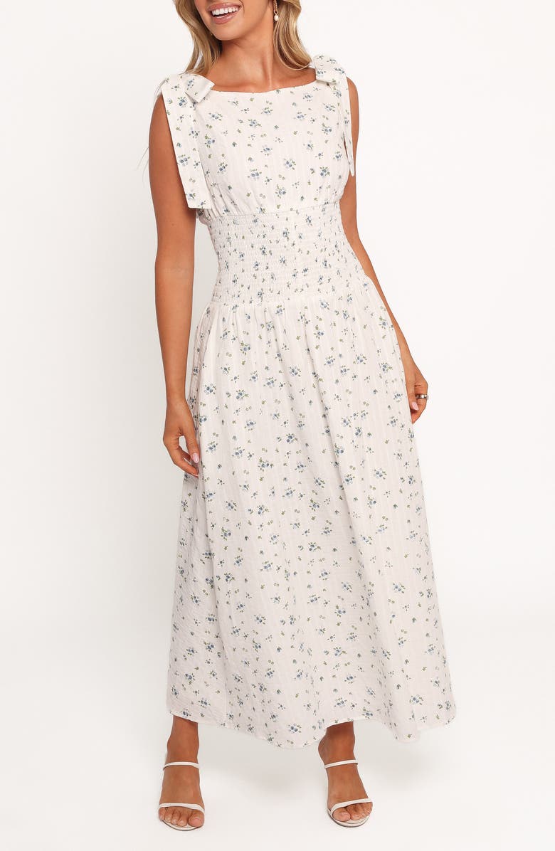 Petal & Pup Leticia Tie Strap Maxi Dress, Main, color, Blue Ditsy Floral