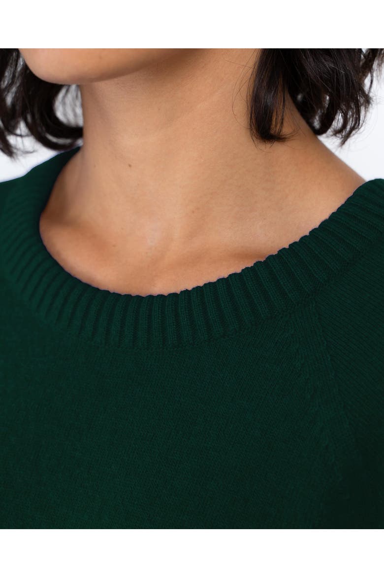 Crew Neck Knitted Dress, Alternate, color, Pine