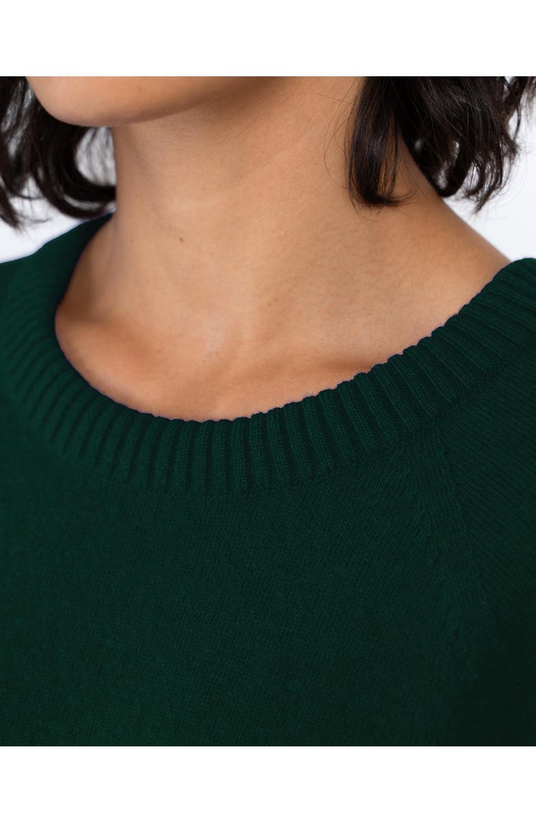 Kettlewell Crew Neck Knitted Dress, Alternate, color, Pine