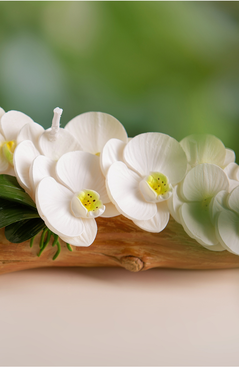 Southlake gifts Orchid Arrangement Candle, Alternate, color, White