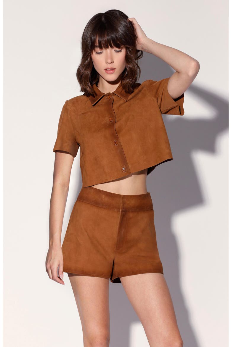 Karla Suede Top, Alternate, color, OAK SUEDE