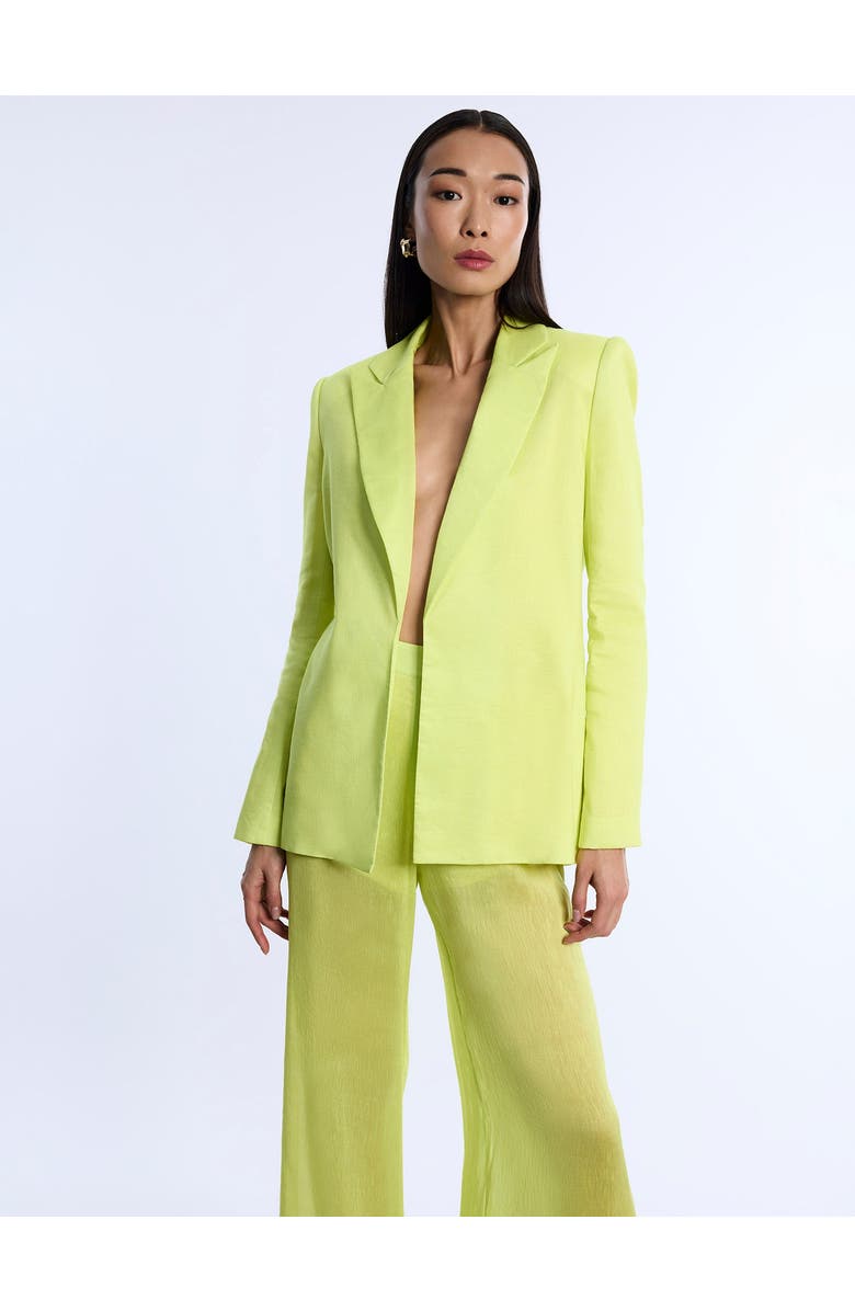 BCBGMAXAZRIA Airy Textured Blazer, Main, color, Chartreuse