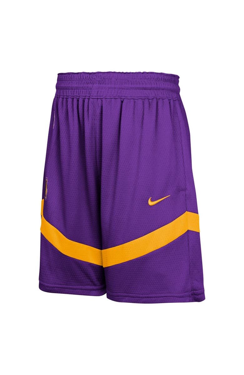 Nike Youth Nike Purple Los Angeles Lakers Practice Mesh Shorts, Alternate, color, 