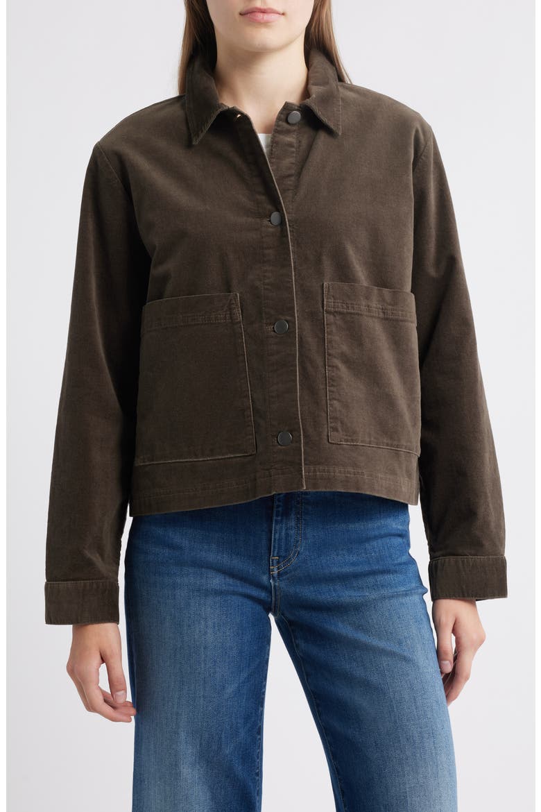 Classic Collar Velveteen Jacket, Alternate, color, WREN