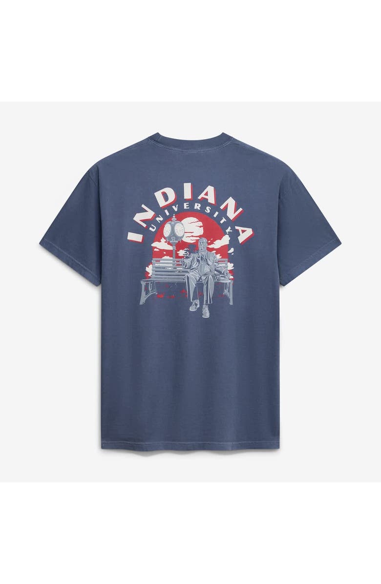 IMAGE ONE Men's Navy Indiana Hoosiers Comfort Colors Team Statue T-Shirt, Alternate, color, Navy