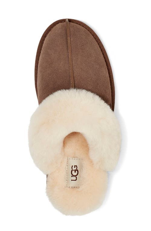 Ugg(r) Scuffette Ii Slipper In Brown