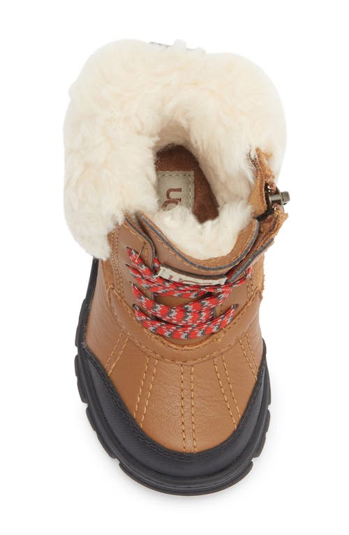 Ugg ® Kids' Ashton Addie Waterproof Boot In Brown
