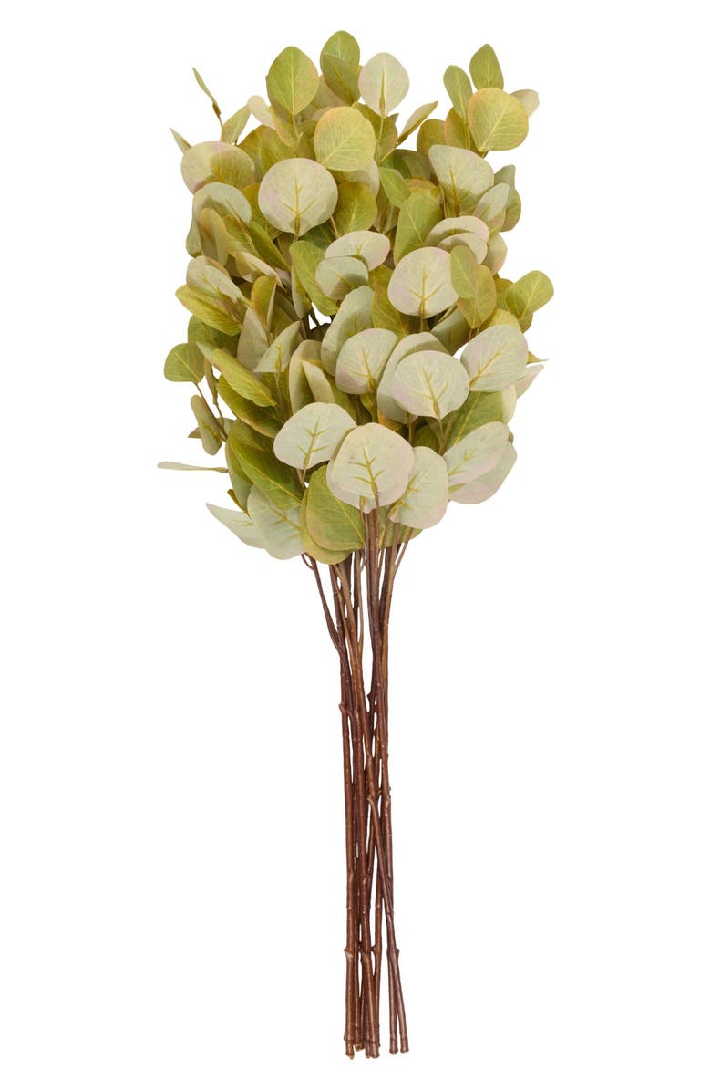 SONOMA SAGE HOME Set of 12 Eucalyptus Artificial Stems, Alternate, color, Green