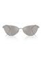 selected Shiny Gunmetal / Gray Silver