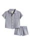 selected Blue Stripe