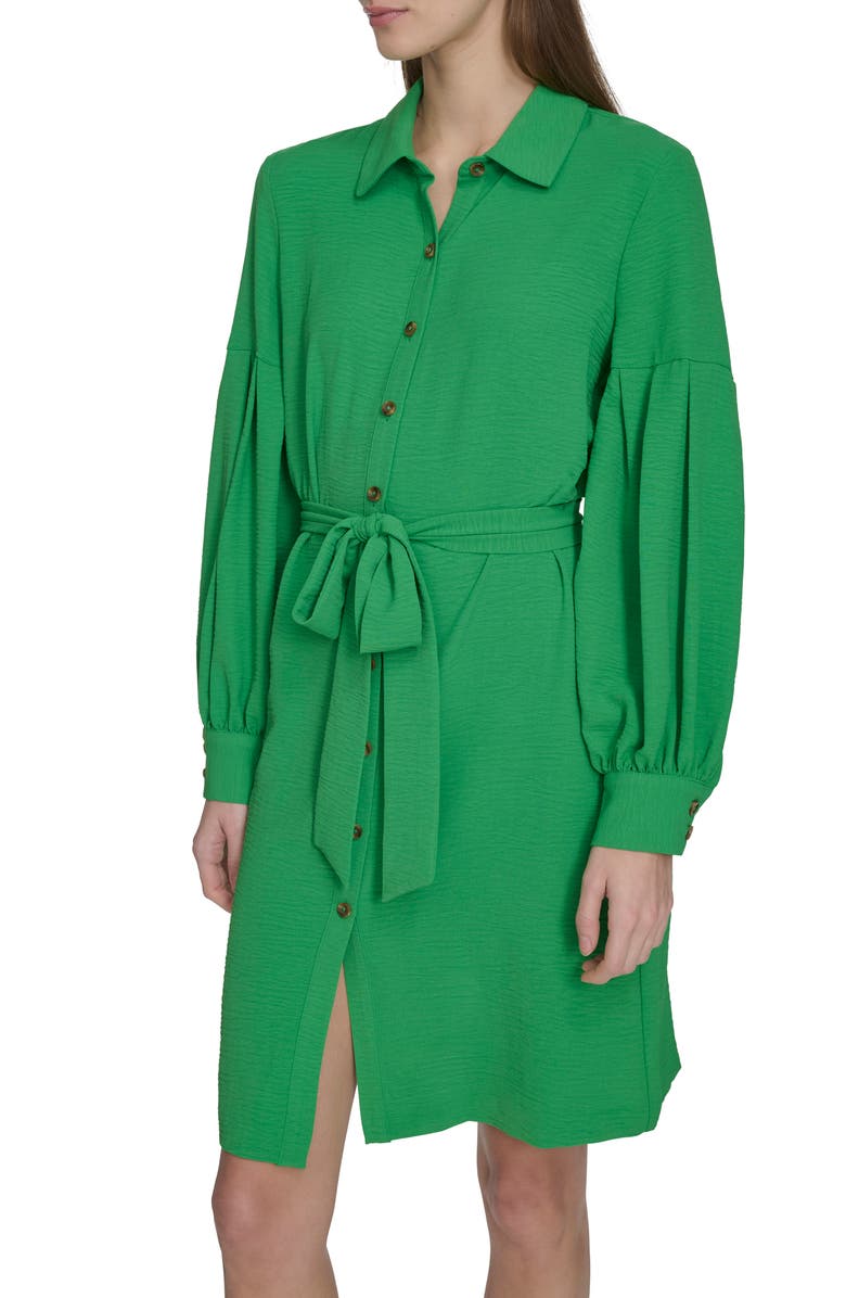 Calvin Klein Long Sleeve Gauze Shirtdress, Alternate, color, Fern