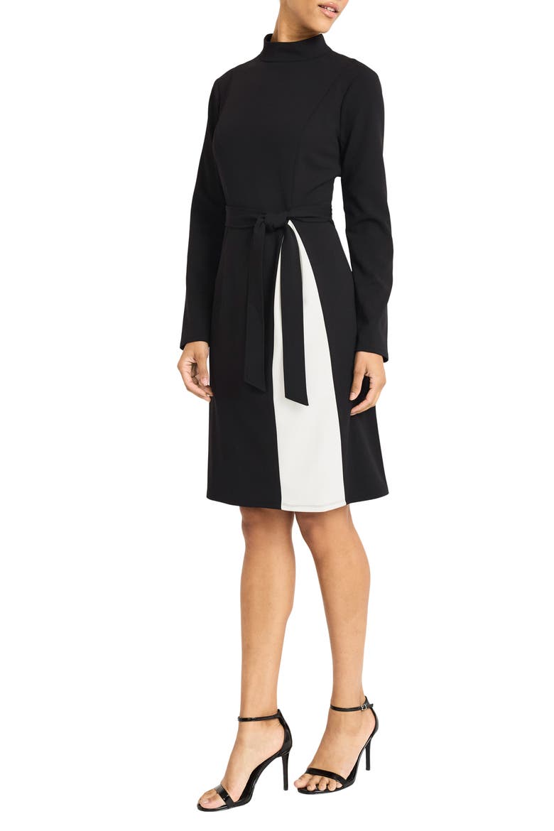 Long Sleeve Turtleneck Contrast Dress, Alternate, color, BLACK