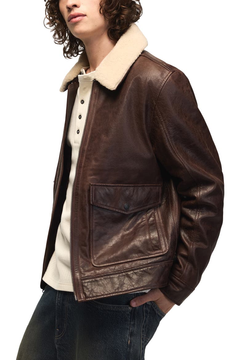 Leather Aviator Jacket, Alternate, color, BROWN