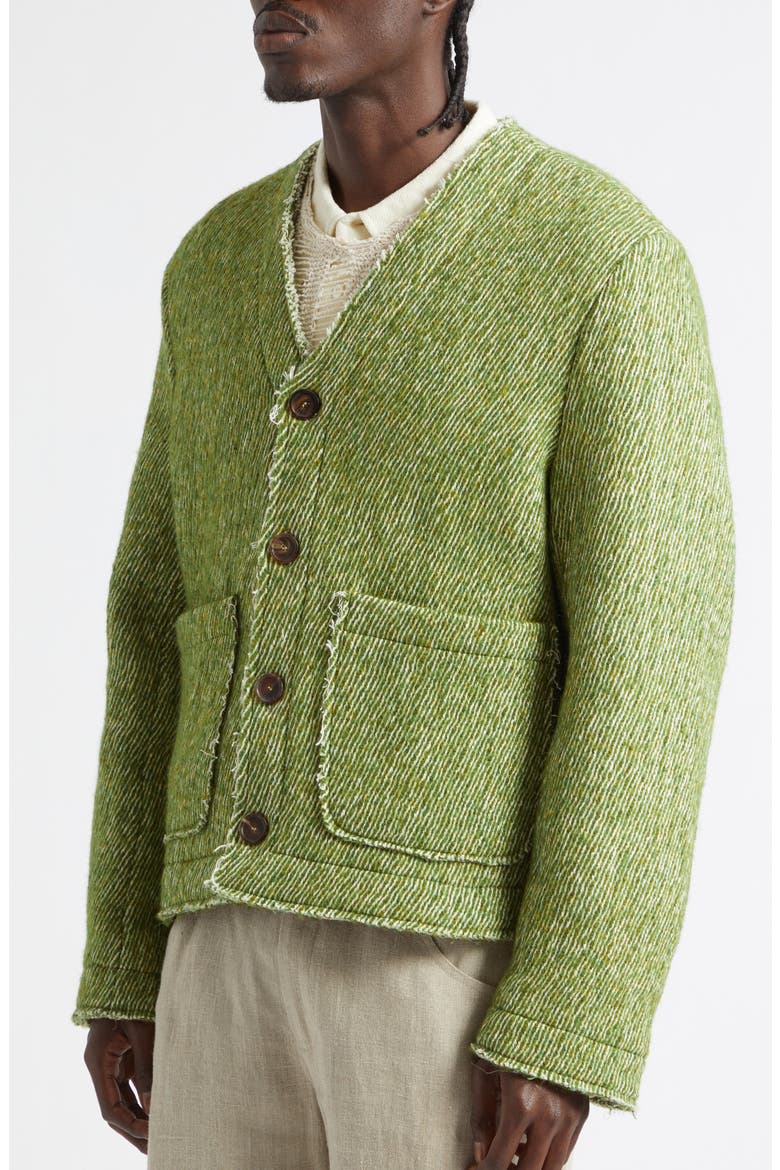 Pavel Fray Edge Cotton & Virgin Wool Cardigan, Alternate, color, ERUCA GREEN TWILL