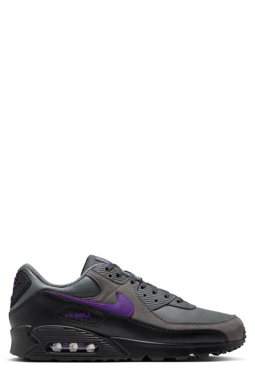 Nike Air Max 90 Sneaker In Gray