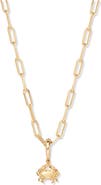 Brook and York Aries Zodiac Charm Paperclip Necklace