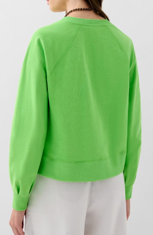 Scalpers Basic V Fade Sweater In Green
