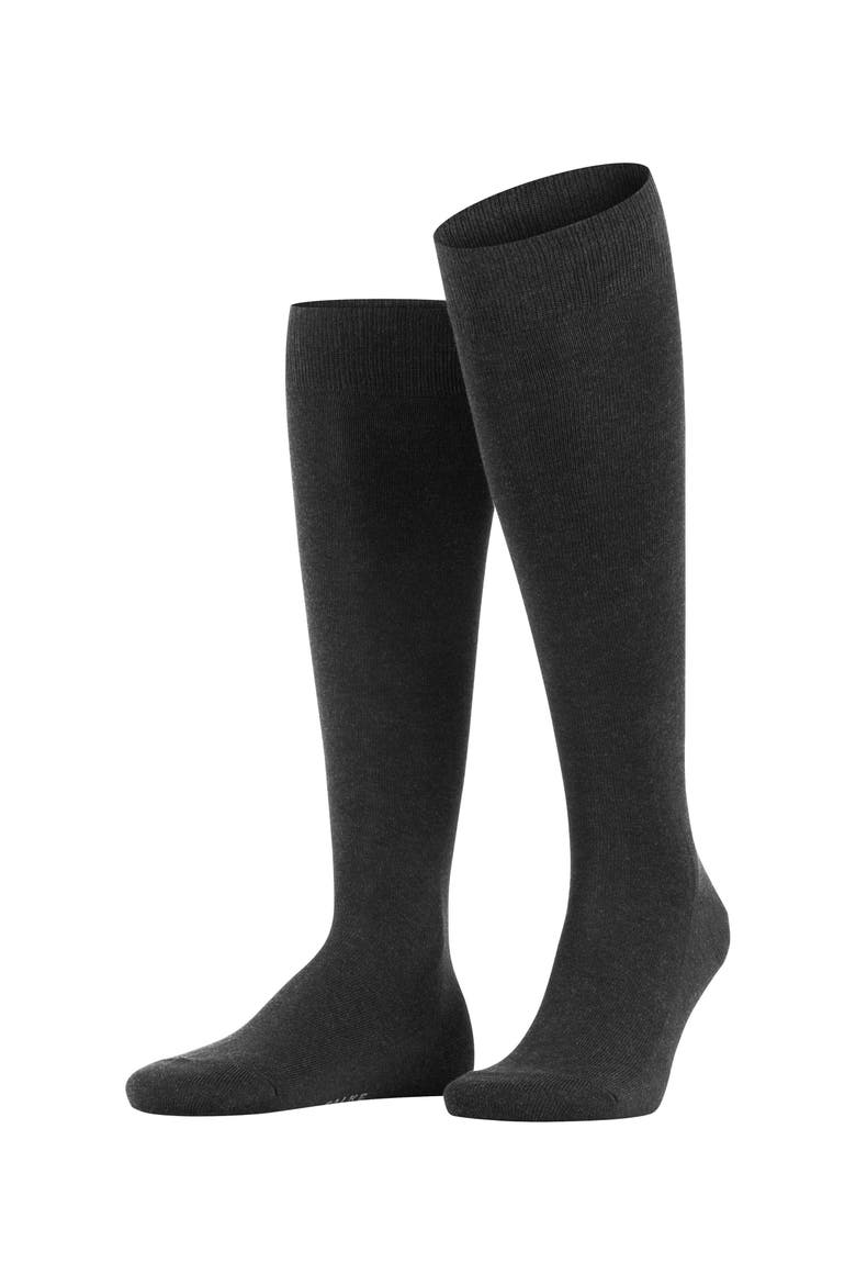 Family Knee High Socks, Main, color, Anthracite Melange