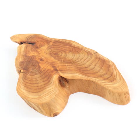 Fir Root Elevated Server