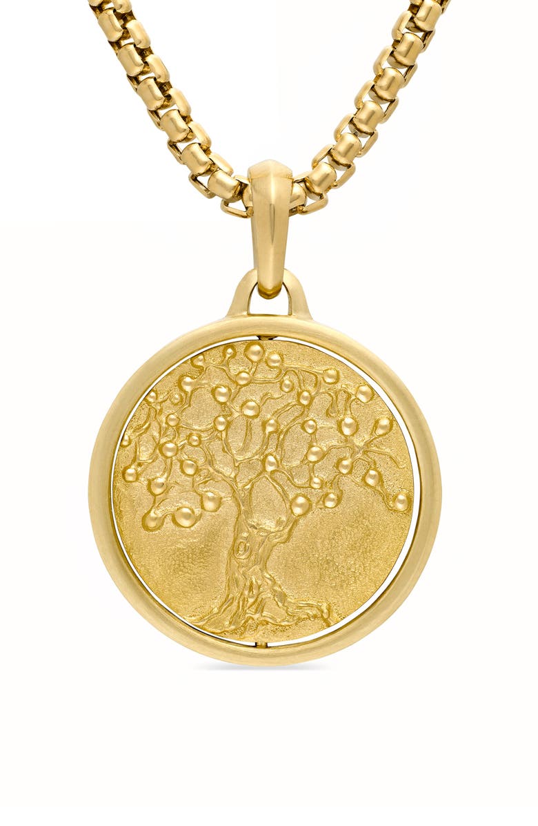 David Yurman Petrvs<sup>®</sup> Life & Death Amulet in 18K Yellow Gold, Main, color, 18K Yellow Gold