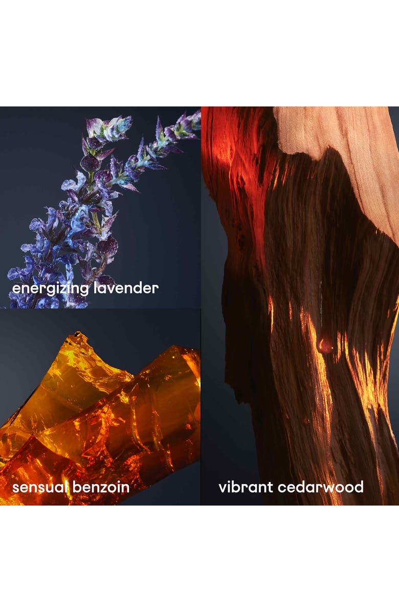 Rabanne 1 Million Royal Parfum 3-Piece Gift Set $208 Value, Alternate, color, 