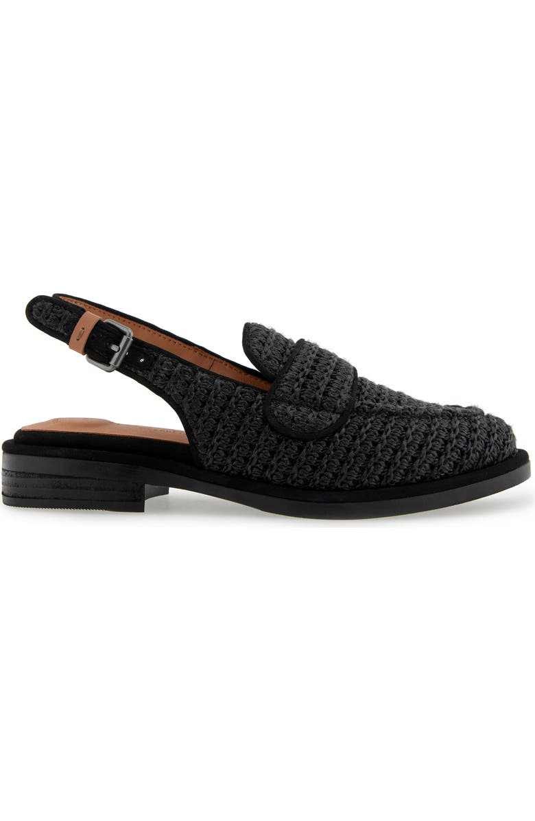 Gentle Souls Caleb Slingback Raffia Loafer Flat, Alternate, color, Black Raffia