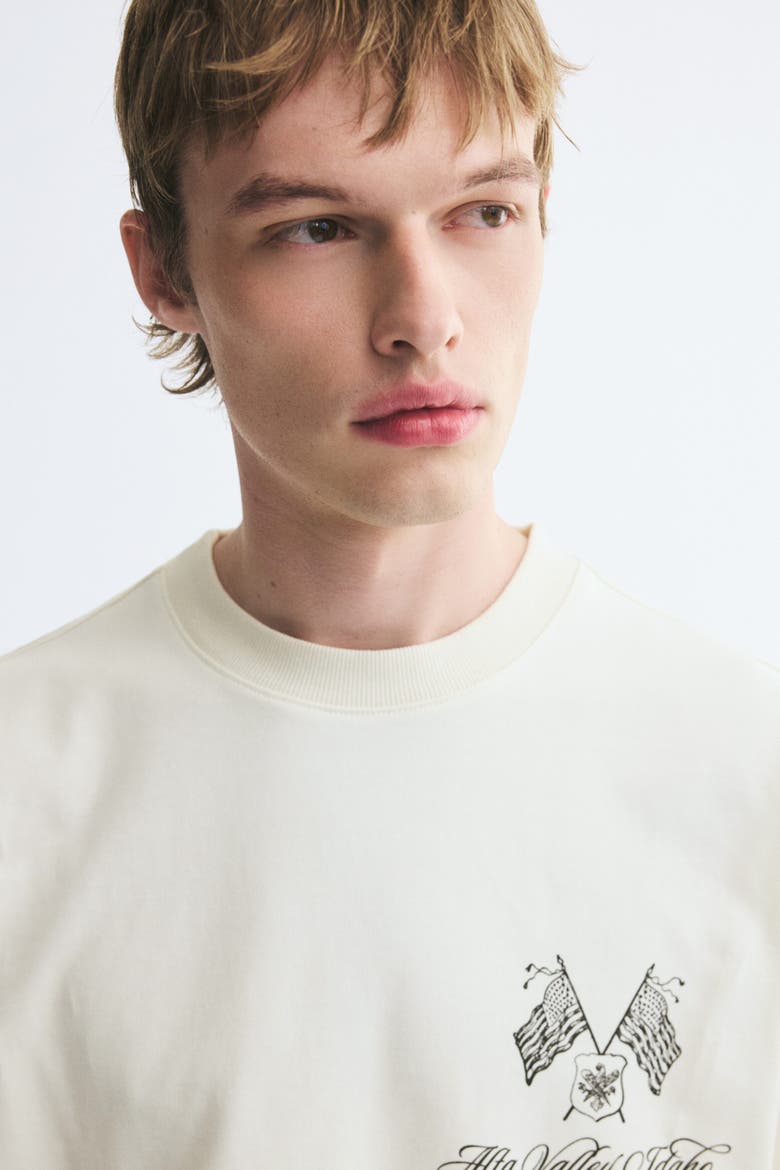 Oversized Boxy Printed Cotton T-Shirt, Alternate, color, White/Alta Valley Idaho
