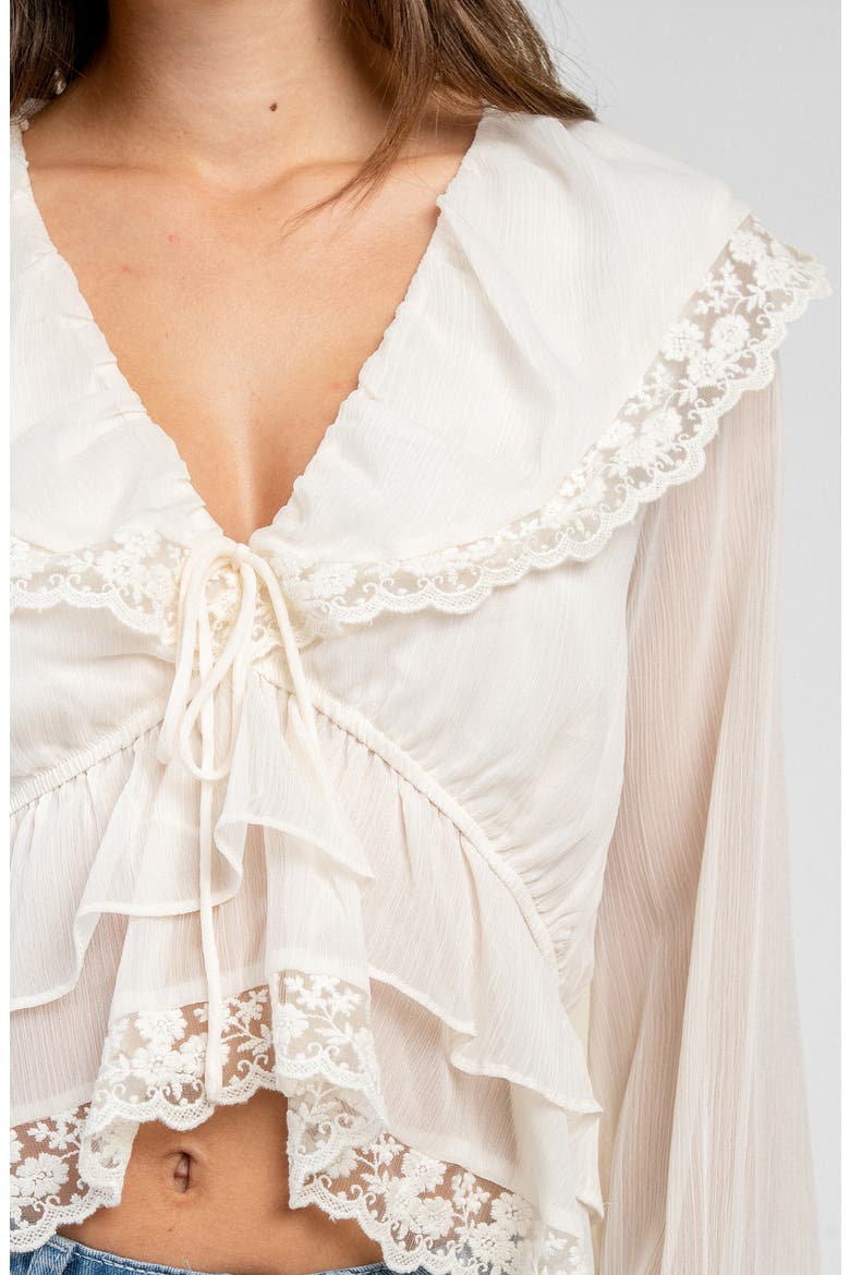 Ruffled Embroidered Long Sleeve Top, Main, color, IVORY