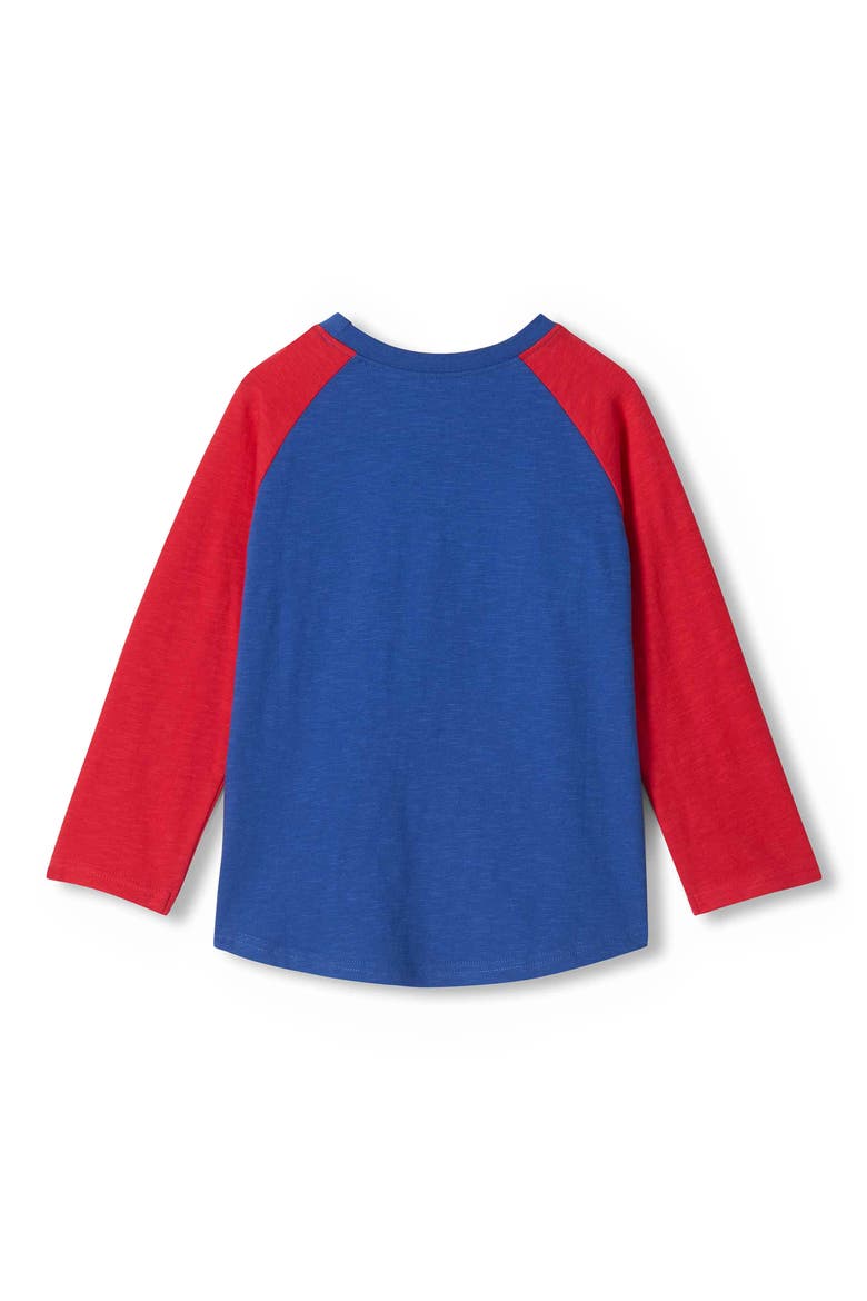 Kids' Landscape Goggles Cotton Raglan Sleeve T-Shirt, Alternate, color, LIMOGES