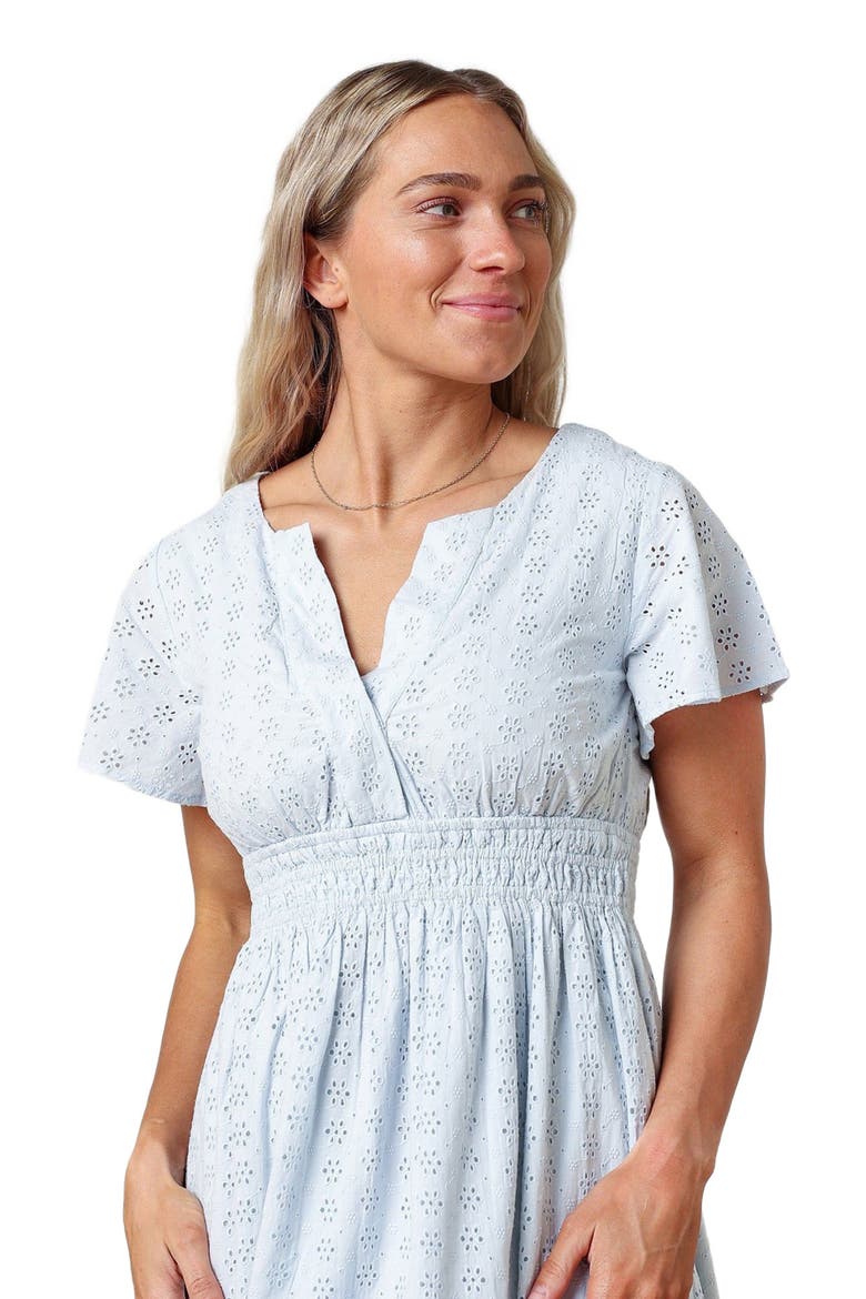 Women's Organic Tiered Eyelet Dress, Alternate, color, Pale Blue Eyelet