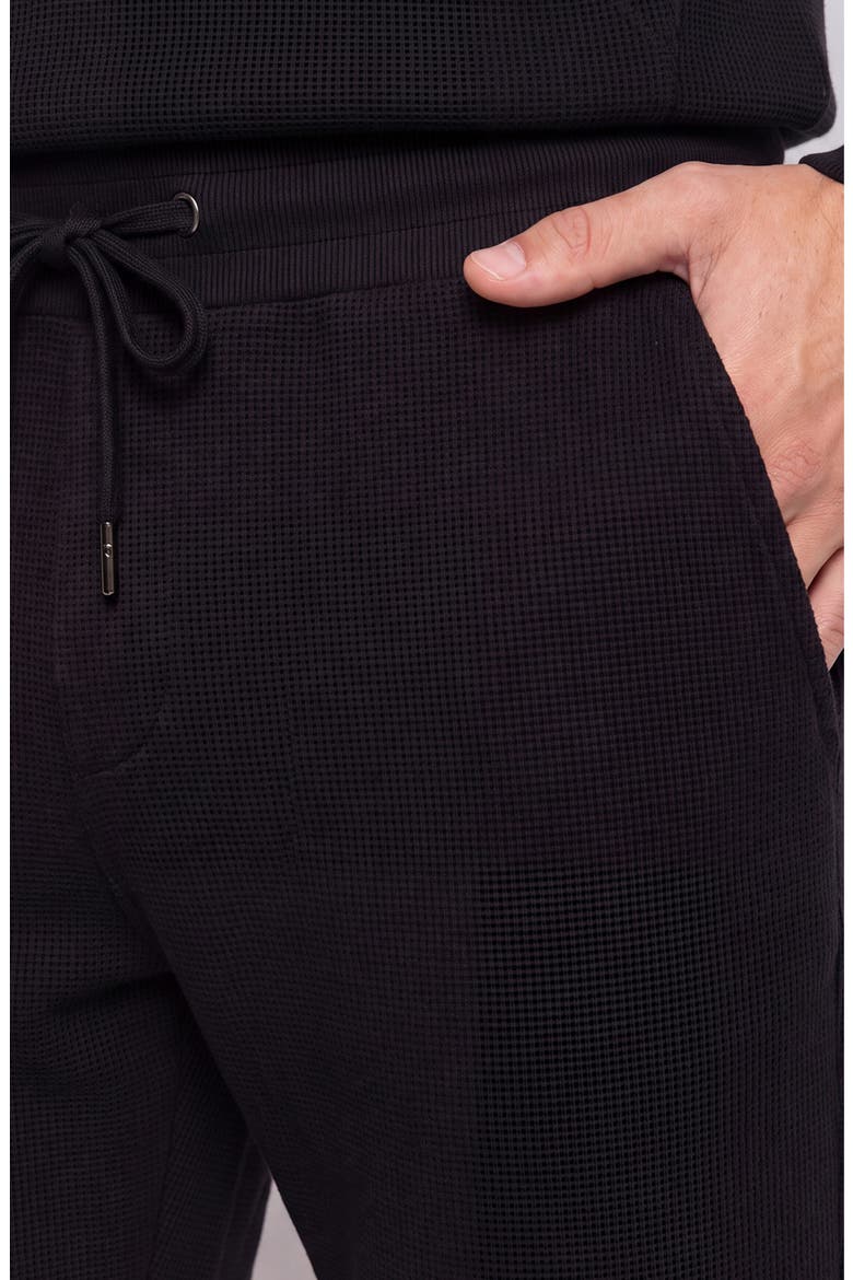 Textured Waffle Knit Jogger Pants, Alternate, color, BLACK