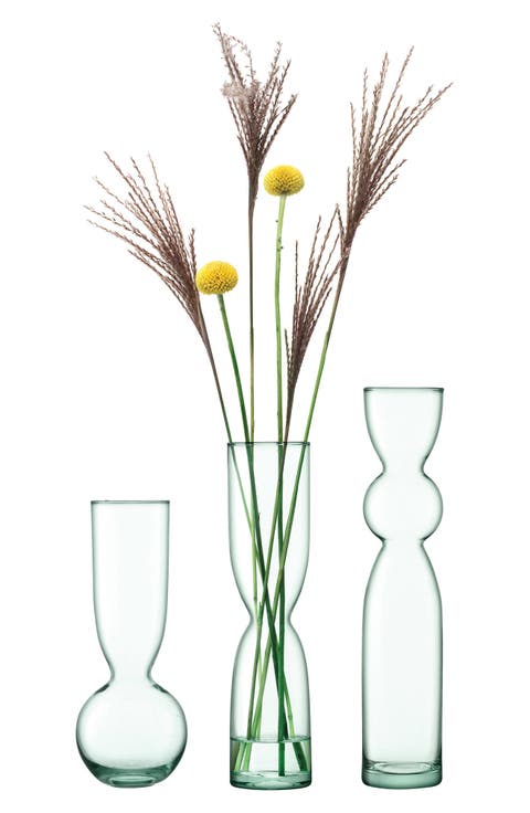 Canopy Set of 3 Vases