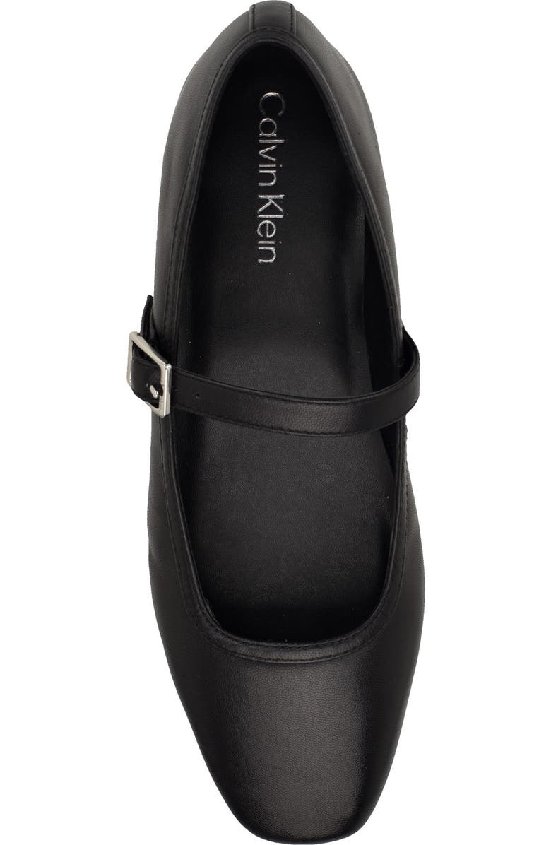 Calvin Klein Greto Mary Jane Flat, Alternate, color,