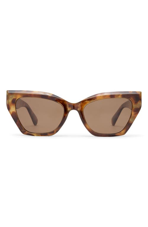 Aire Persei 51mm Cat Eye Sunglasses In Dark Tort