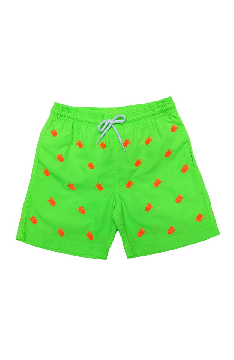 NESSI BYRD Pineapple Embroidery Striped Drawstring Swim Trunks, Toddler, Little Kid & Big Kid, Main, color, Green