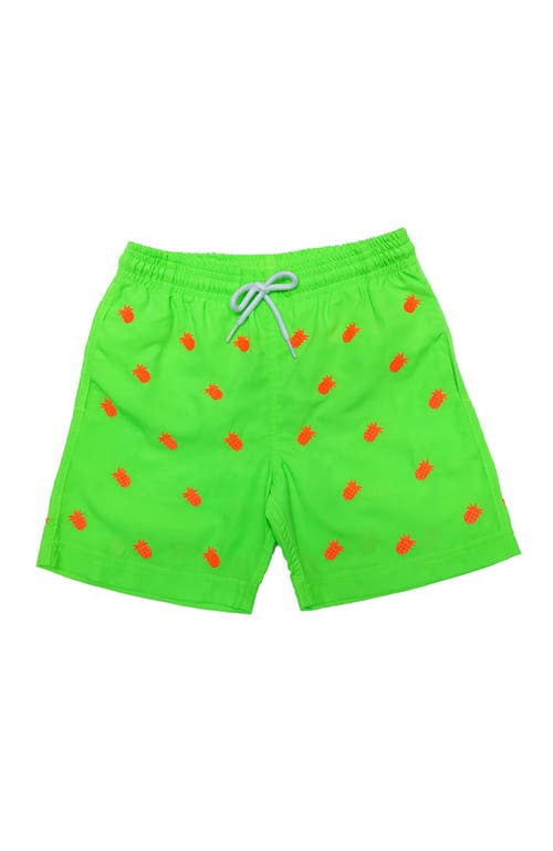 Nessi Byrd Pineapple Embroidery Striped Drawstring Swim Trunks, Toddler, Little Kid & Big Kid In Green