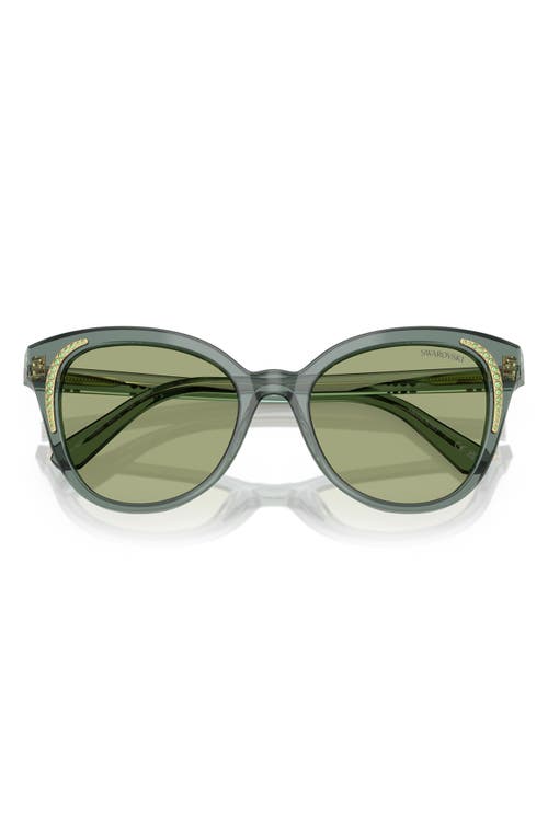 Swarovski 53mm Butterfly Sunglasses In Transparent Green/dark Green