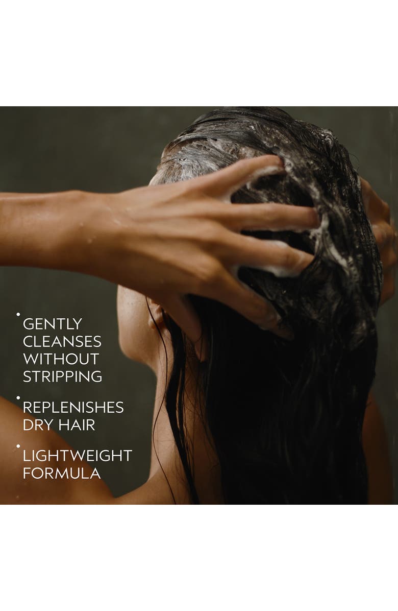 Aveda Nutriplenish<sup>™</sup> Light Moisture Shampoo, Alternate, color,