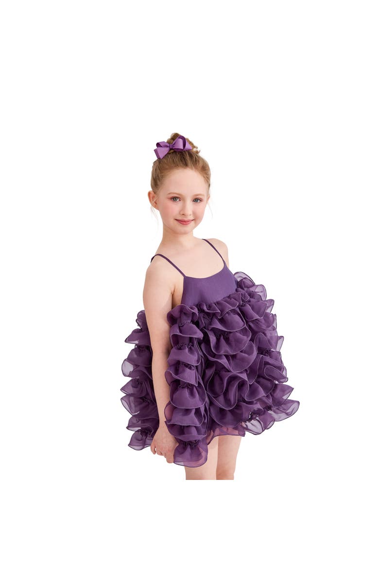 Tulleen Vionara Ruffle Dress, Alternate, color, Purple
