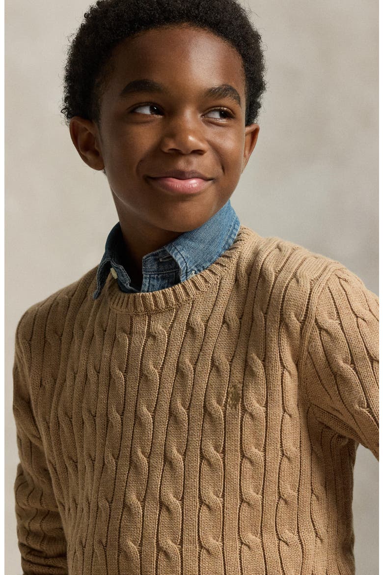Kids' Cable Knit Cotton Sweater, Alternate, color, CAMEL HEATHER