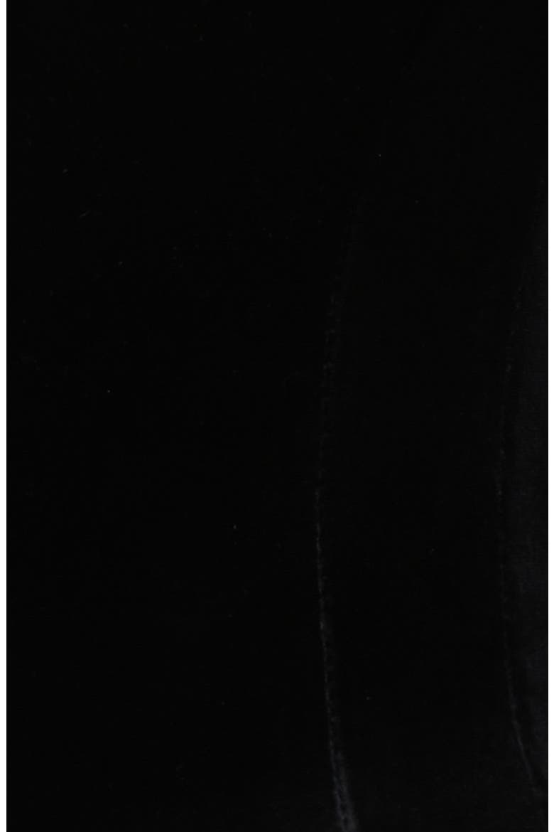 Vienne Plunge Neck Stretch Velvet Corset, Alternate, color, BLACK