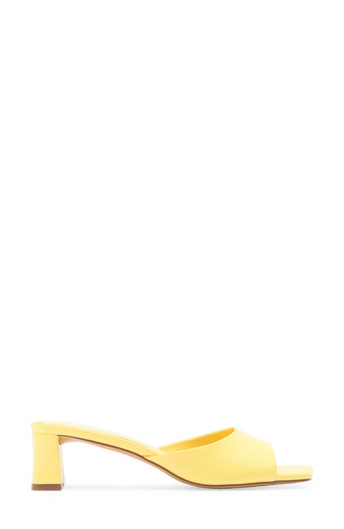 Abound Jenny Mule Sandal
